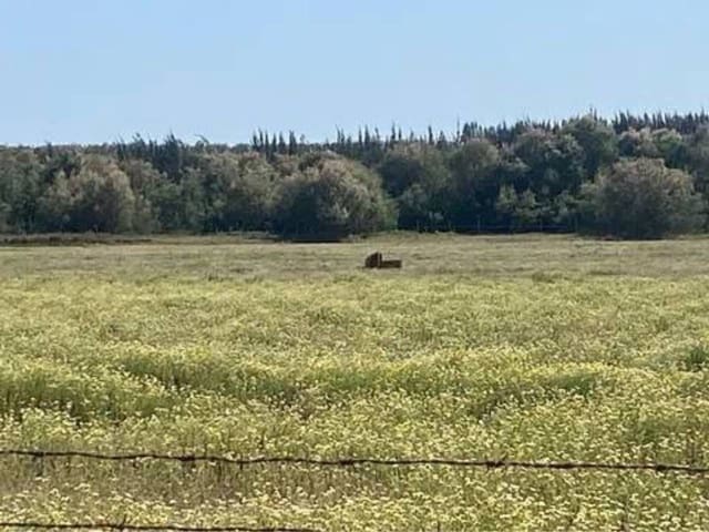 Terreno/Finca Rústica en Almonte en venta - 730.000 € (Ref: 9781199)