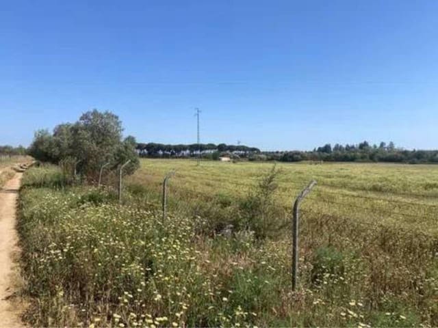 Terreno/Finca Rústica en Almonte en venta - 730.000 € (Ref: 9781199)
