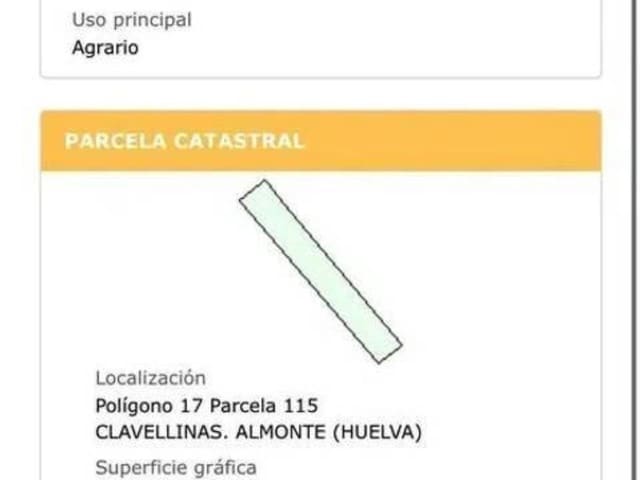 Ubebygd land til salgs i Rociana del Condado - € 10 000 (Ref: 9781203)