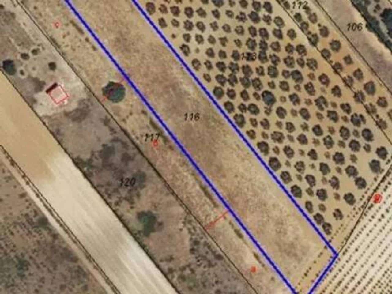 Ubebygd land til salgs i Rociana del Condado - € 10 000 (Ref: 9781203)