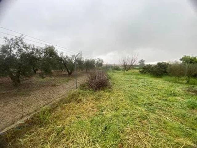 Undeveloped Land for sale in Rociana del Condado - € 600,000 (Ref: 9781207)