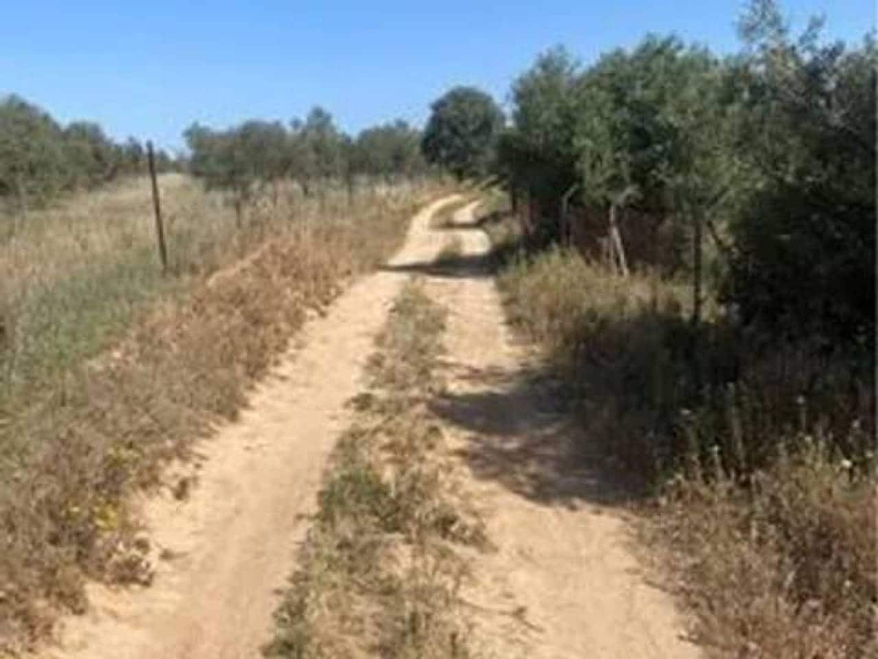 Undeveloped Land for sale in Rociana del Condado - € 730,000 (Ref: 9781210)