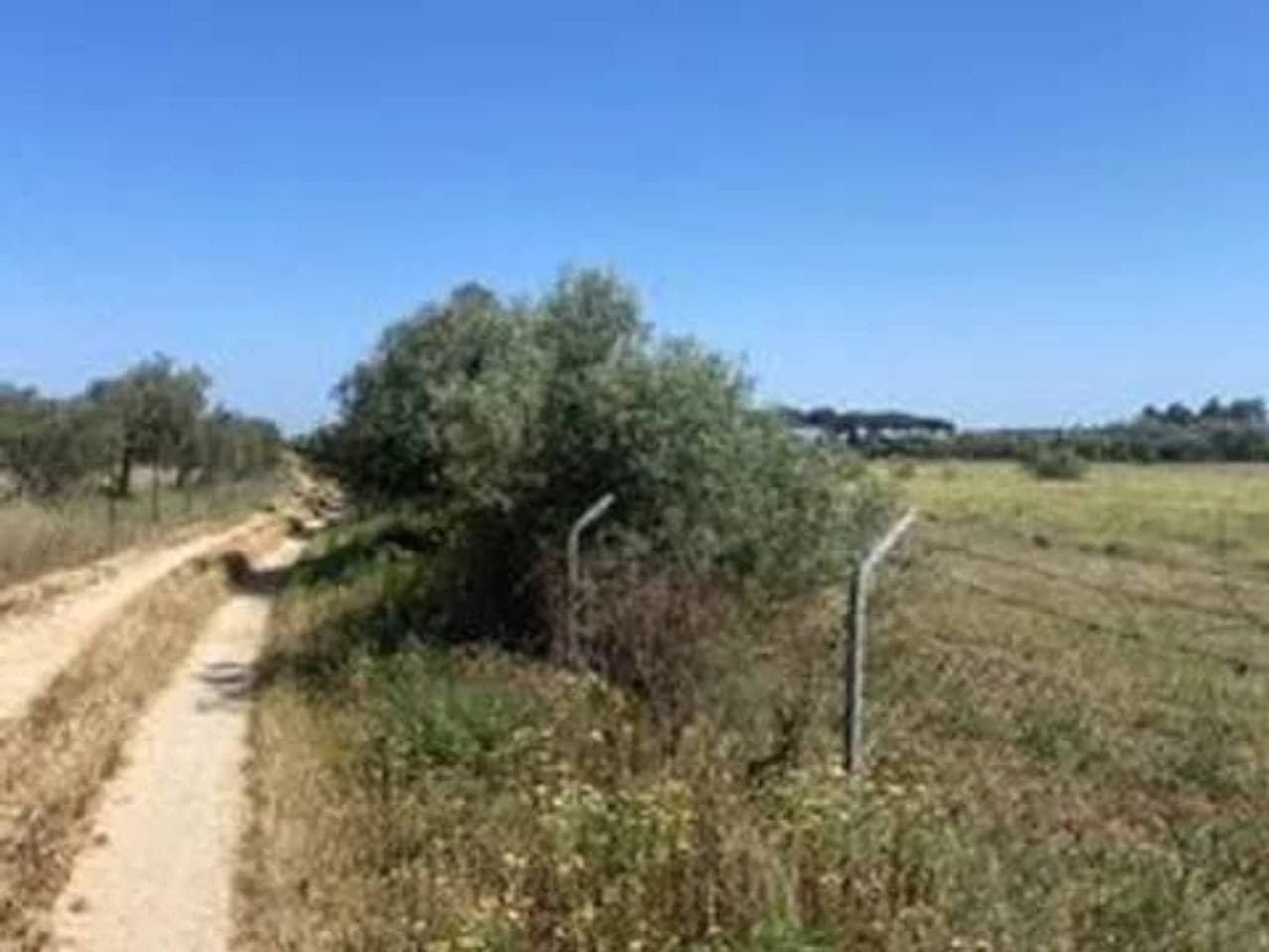 Undeveloped Land for sale in Rociana del Condado - € 730,000 (Ref: 9781210)