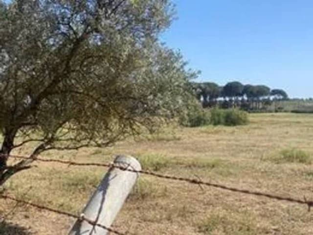 Undeveloped Land for sale in Rociana del Condado - € 730,000 (Ref: 9781210)