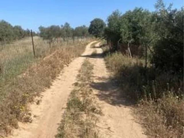 Undeveloped Land for sale in Rociana del Condado - € 730,000 (Ref: 9781210)