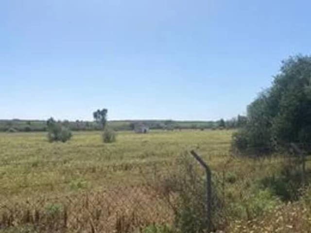 Undeveloped Land for sale in Rociana del Condado - € 730,000 (Ref: 9781210)