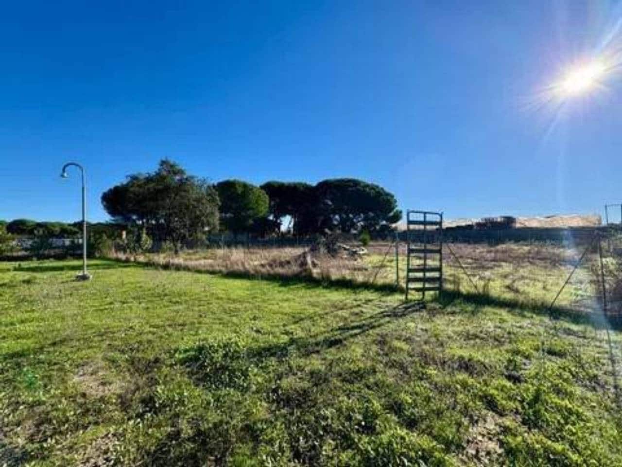 Undeveloped Land for sale in Lucena del Puerto - € 150,000 (Ref: 9781214)