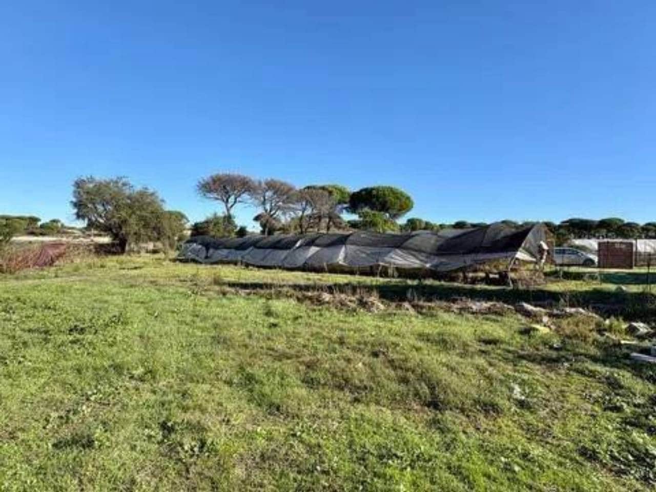 Undeveloped Land for sale in Lucena del Puerto - € 150,000 (Ref: 9781214)