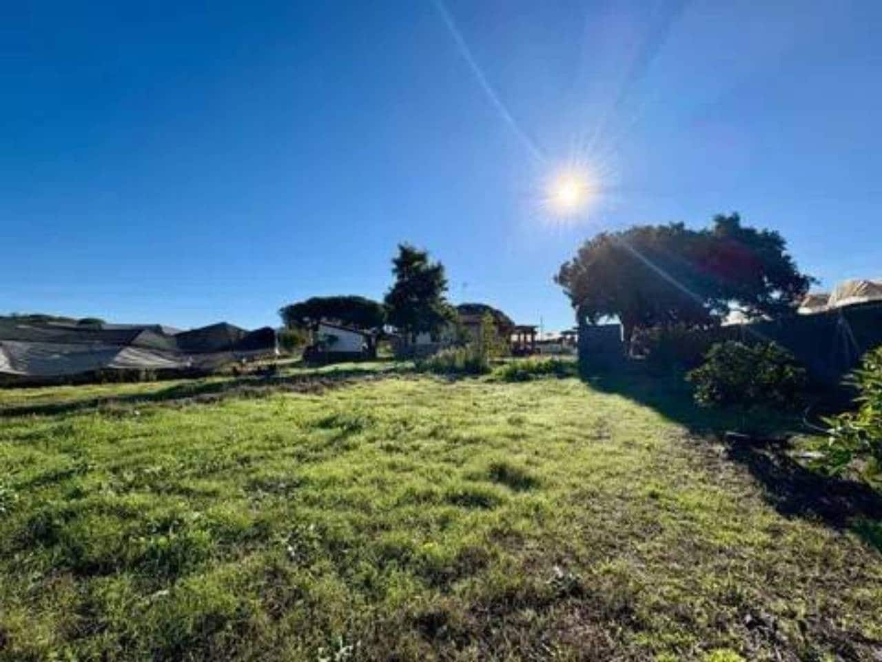 Undeveloped Land for sale in Lucena del Puerto - € 150,000 (Ref: 9781214)