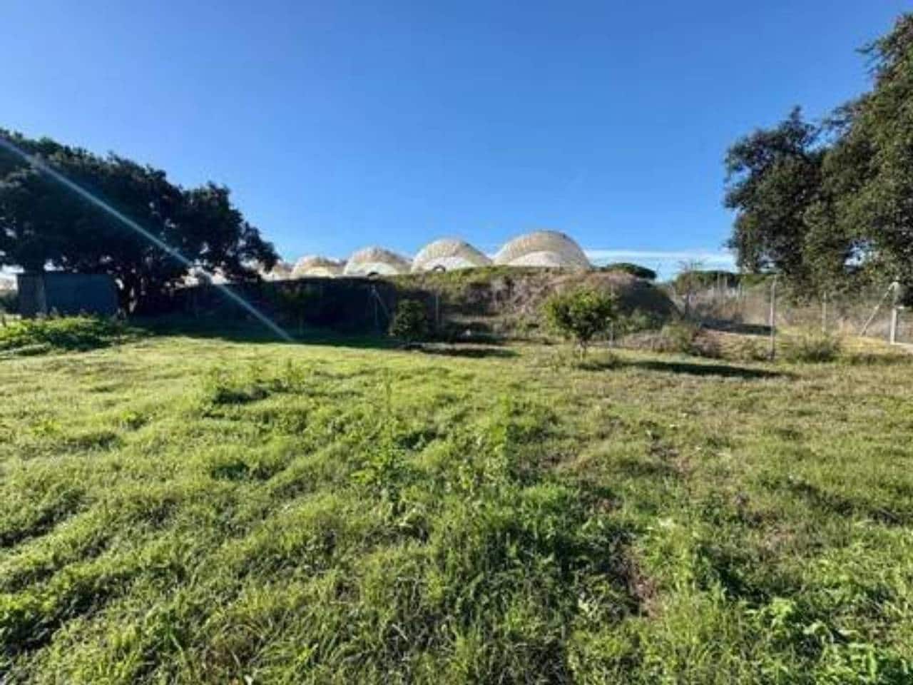 Undeveloped Land for sale in Lucena del Puerto - € 150,000 (Ref: 9781214)