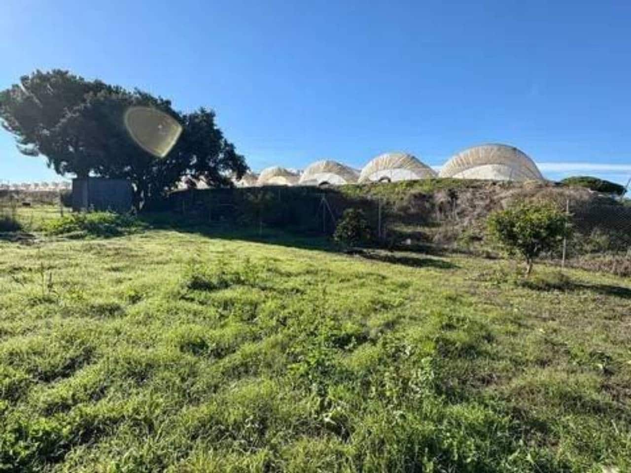 Undeveloped Land for sale in Lucena del Puerto - € 150,000 (Ref: 9781214)