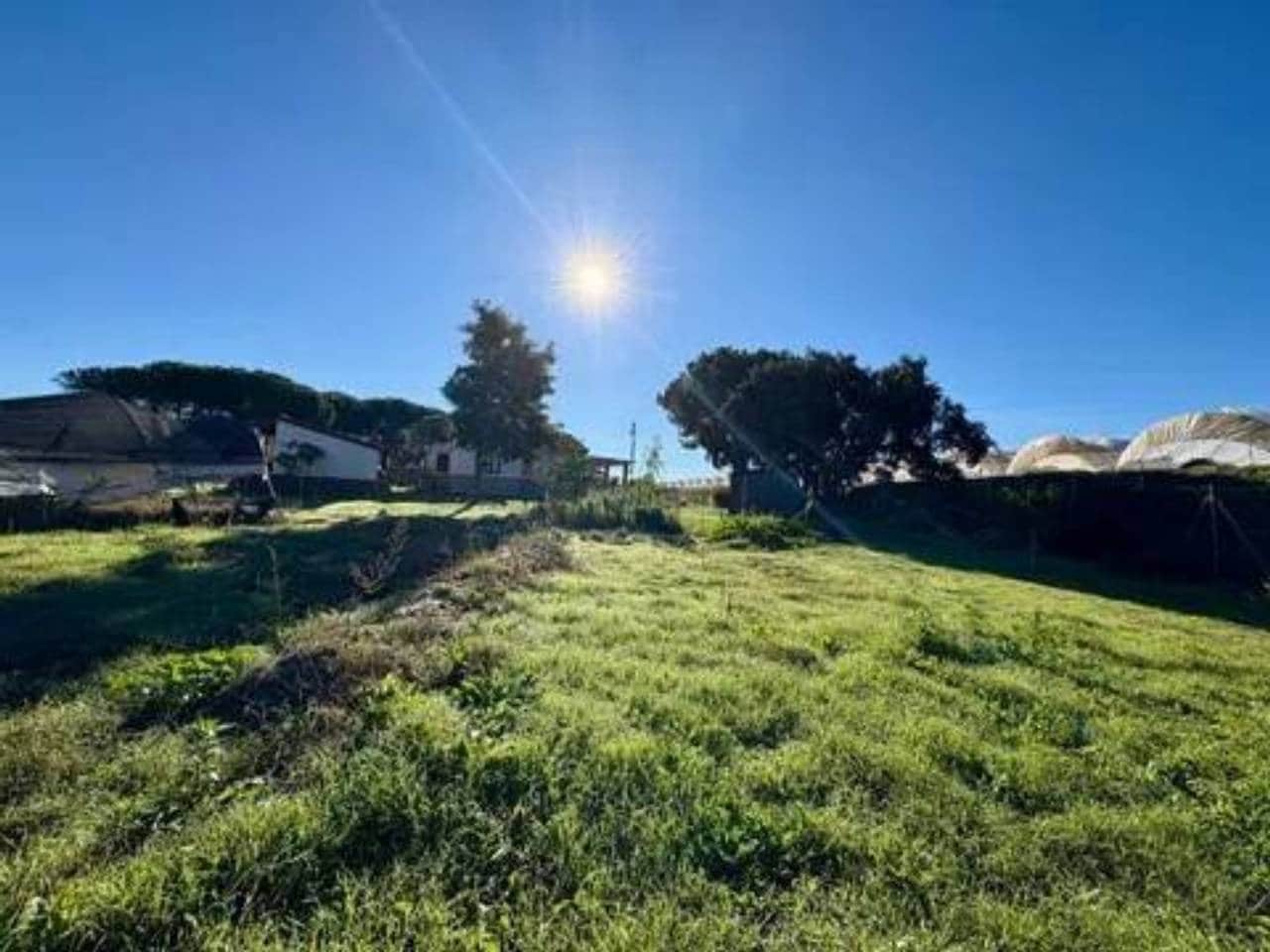 Undeveloped Land for sale in Lucena del Puerto - € 150,000 (Ref: 9781214)