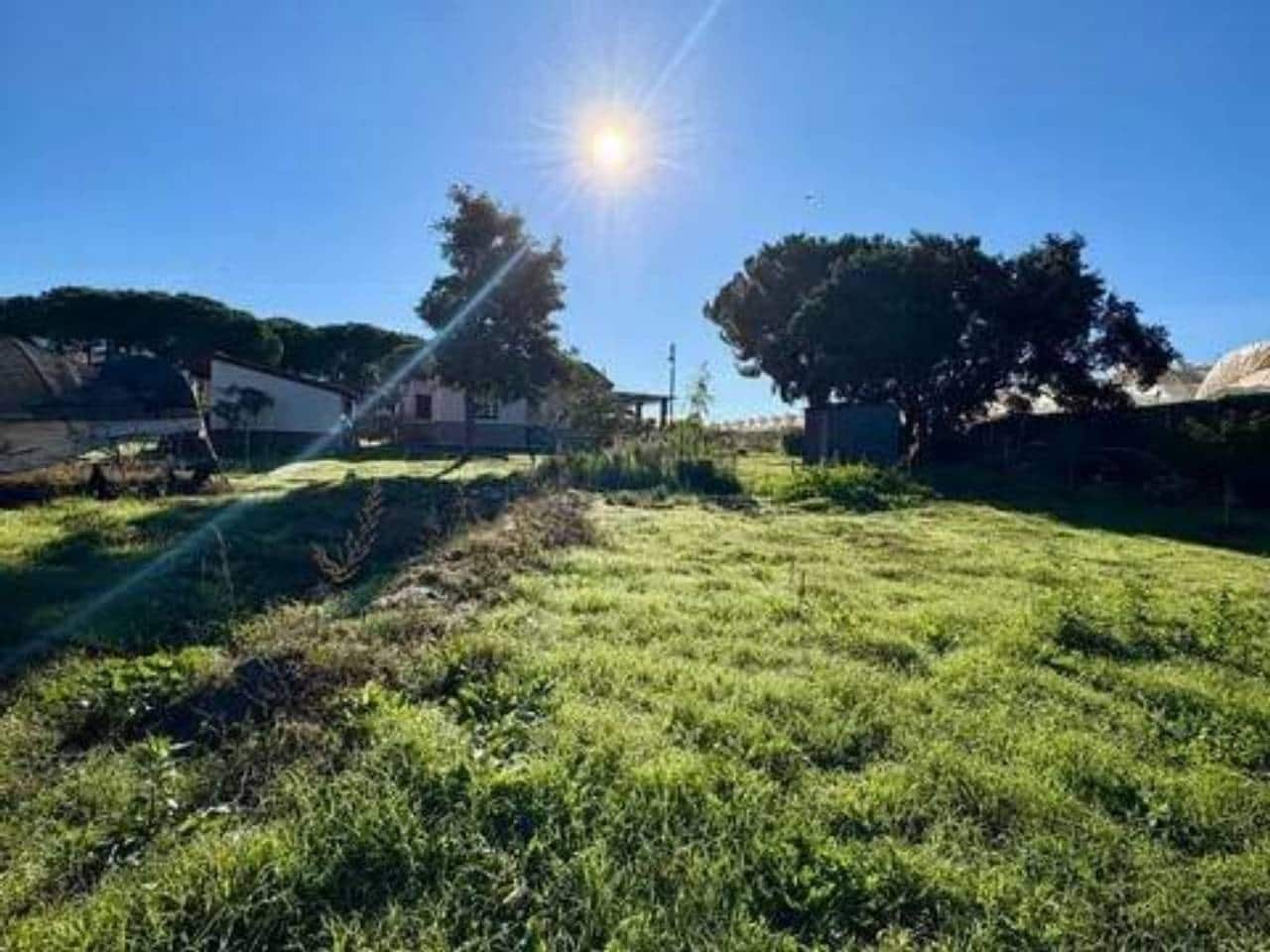 Undeveloped Land for sale in Lucena del Puerto - € 150,000 (Ref: 9781214)