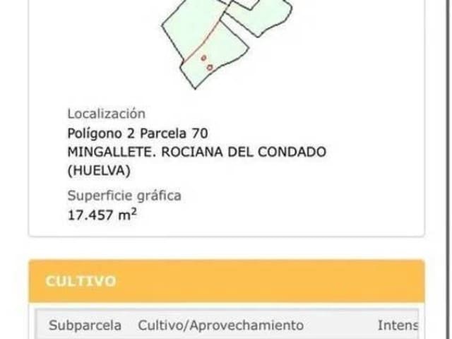 Landgrundstück zu verkaufen in Rociana del Condado - 18.000 € (Ref: 9781217)