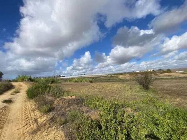 Landgrundstück zu verkaufen in Rociana del Condado - 18.000 € (Ref: 9781217)