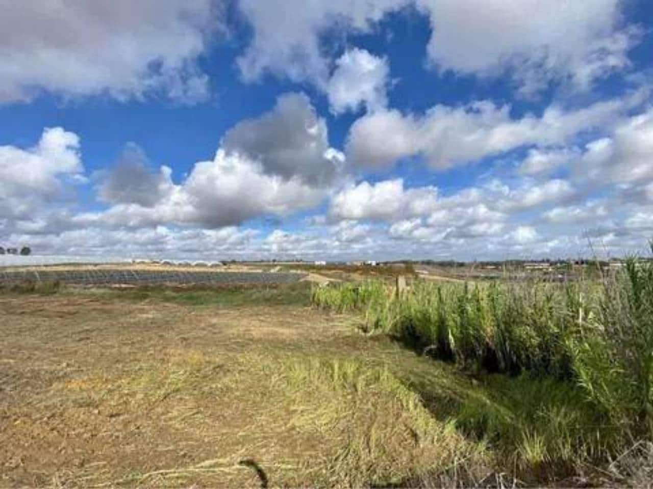 Undeveloped Land for sale in Rociana del Condado - € 18,000 (Ref: 9781217)