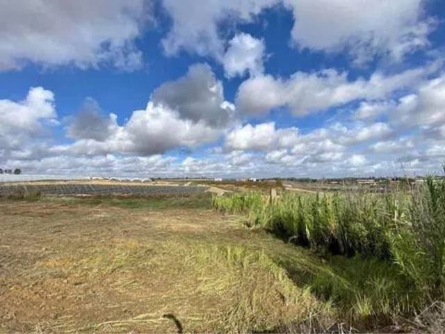 Landgrundstück zu verkaufen in Rociana del Condado - 18.000 € (Ref: 9781217)