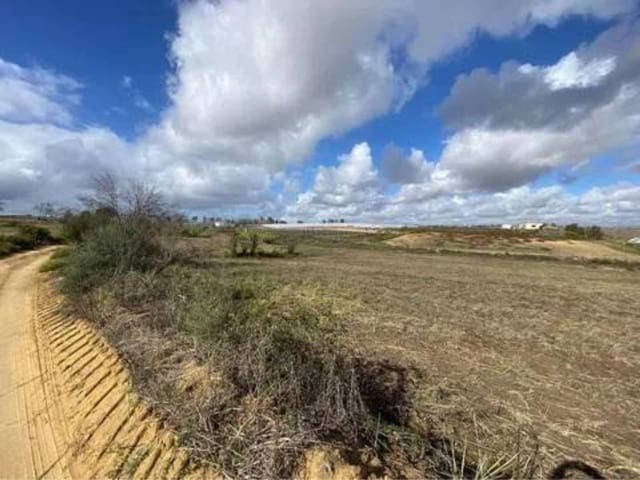 Landgrundstück zu verkaufen in Rociana del Condado - 18.000 € (Ref: 9781217)