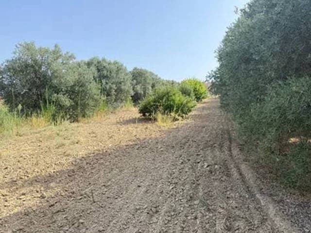 Undeveloped Land for sale in Rociana del Condado - € 20,000 (Ref: 9781223)