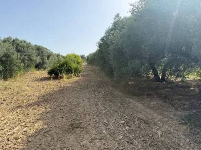 Undeveloped Land for sale in Rociana del Condado - € 20,000 (Ref: 9781223)
