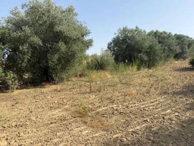 Undeveloped Land for sale in Rociana del Condado - € 20,000 (Ref: 9781223)