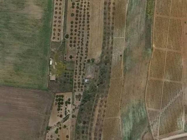 Ubebygd land til salgs i Rociana del Condado - € 100 000 (Ref: 9781226)