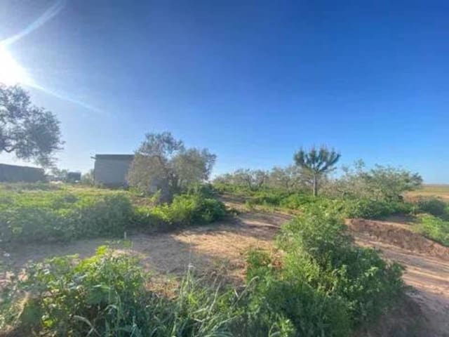 Ubebygd land til salgs i Rociana del Condado - € 100 000 (Ref: 9781226)