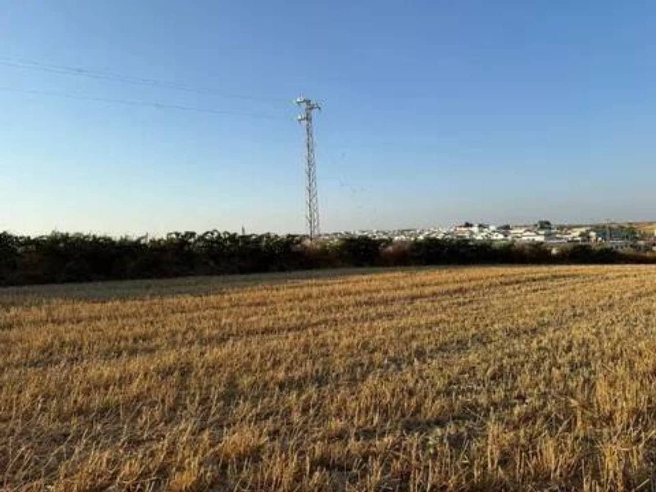 Ubebygd land til salgs i Rociana del Condado - € 120 000 (Ref: 9781228)