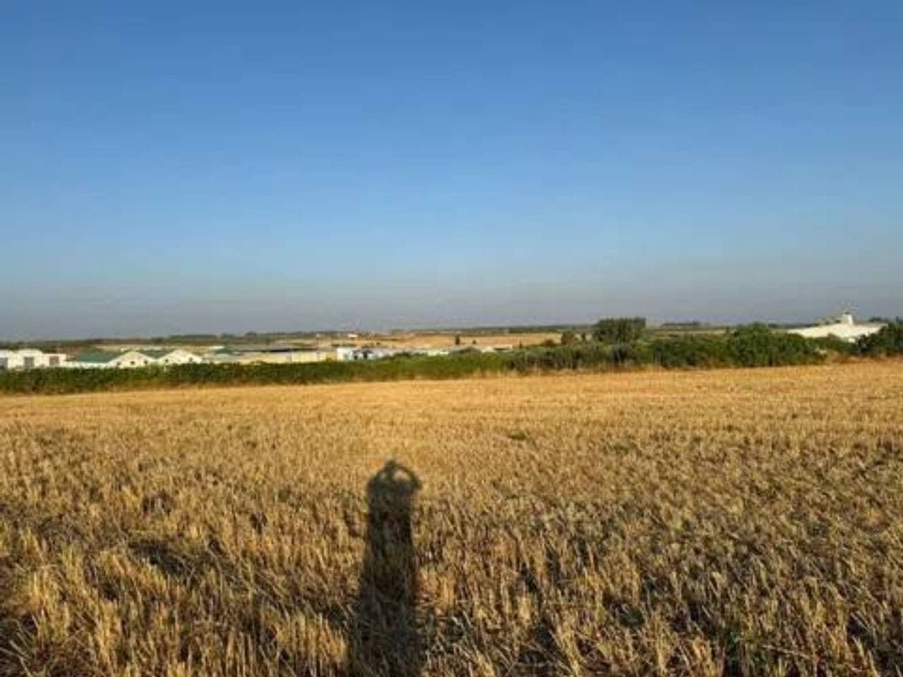 Ubebygd land til salgs i Rociana del Condado - € 120 000 (Ref: 9781228)