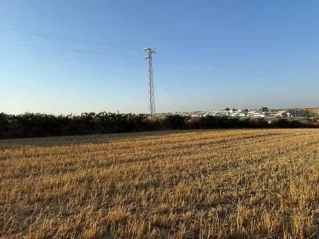 Ubebygd land til salgs i Rociana del Condado - € 120 000 (Ref: 9781228)