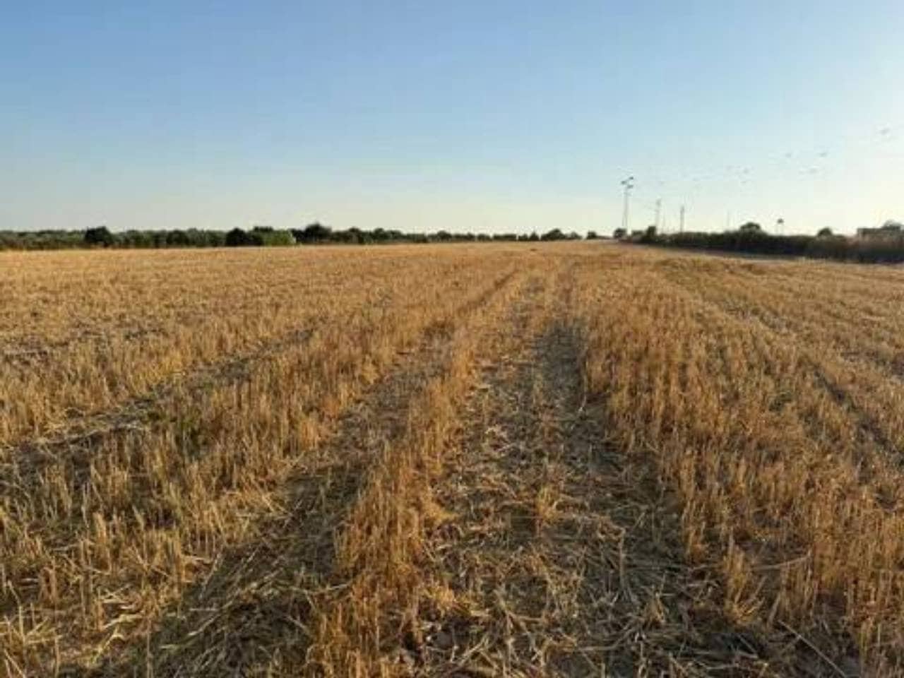 Ubebygd land til salgs i Rociana del Condado - € 120 000 (Ref: 9781228)