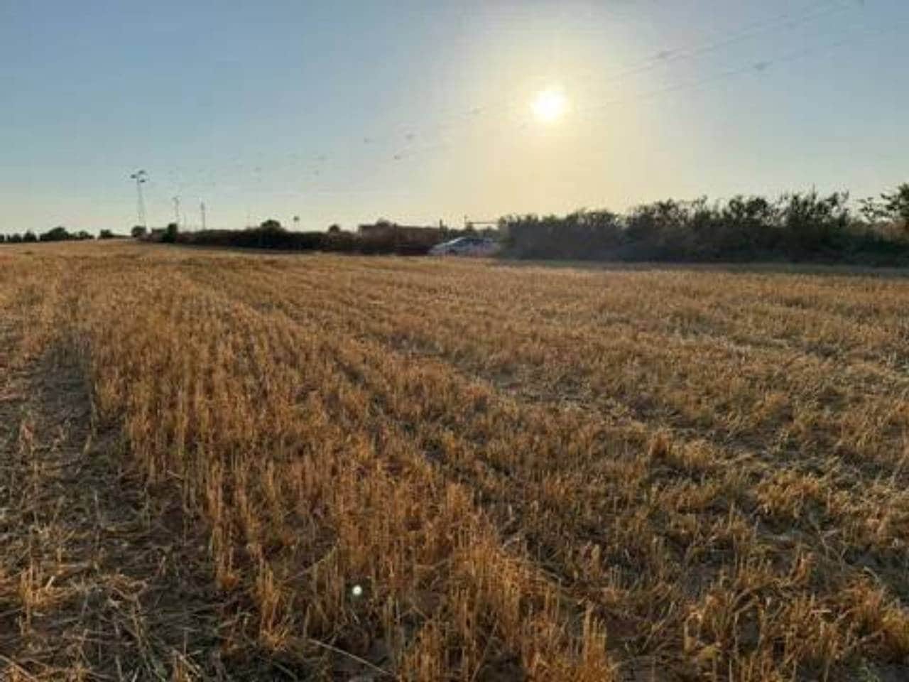 Ubebygd land til salgs i Rociana del Condado - € 120 000 (Ref: 9781228)