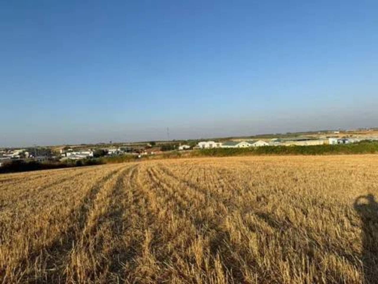 Ubebygd land til salgs i Rociana del Condado - € 120 000 (Ref: 9781228)