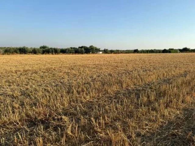 Ubebygd land til salgs i Rociana del Condado - € 120 000 (Ref: 9781228)