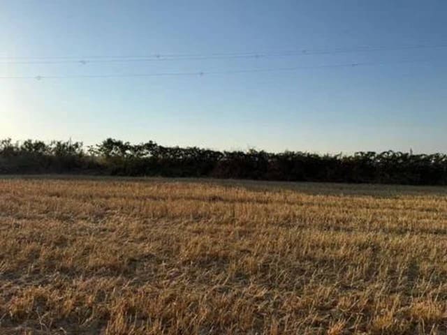 Ubebygd land til salgs i Rociana del Condado - € 120 000 (Ref: 9781228)