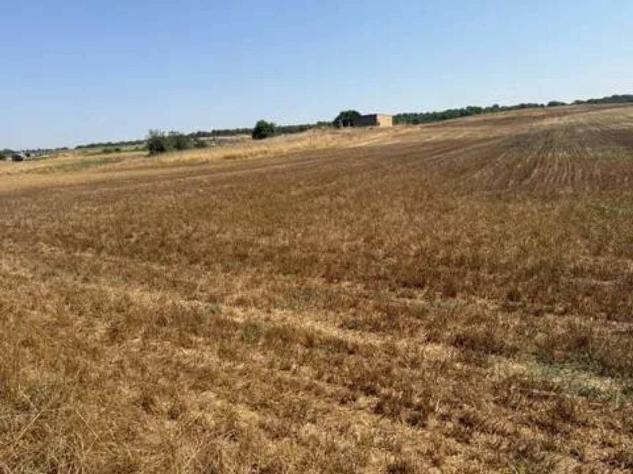 Undeveloped Land for sale in Rociana del Condado - € 35,000 (Ref: 9781233)