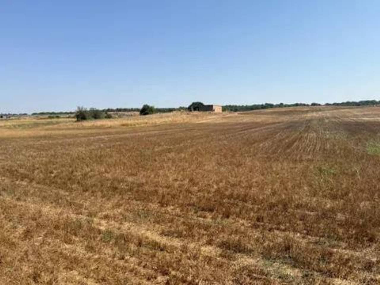 Undeveloped Land for sale in Rociana del Condado - € 35,000 (Ref: 9781233)