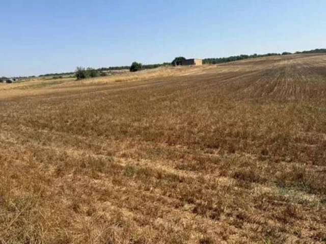 Terre non Aménagée à vendre à Rociana del Condado - 35 000 € (Ref: 9781233)