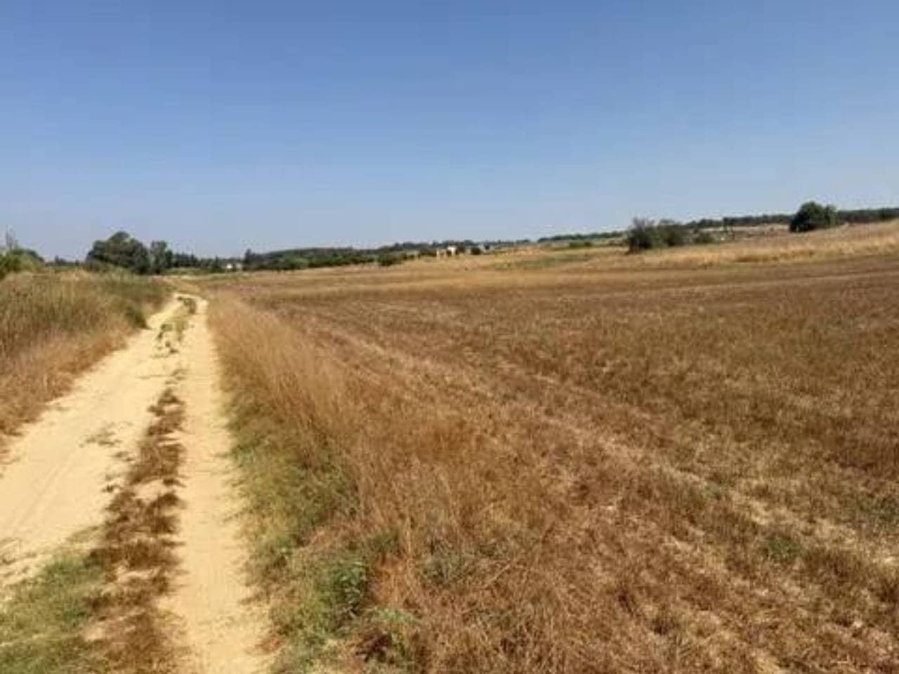 Undeveloped Land for sale in Rociana del Condado - € 35,000 (Ref: 9781233)