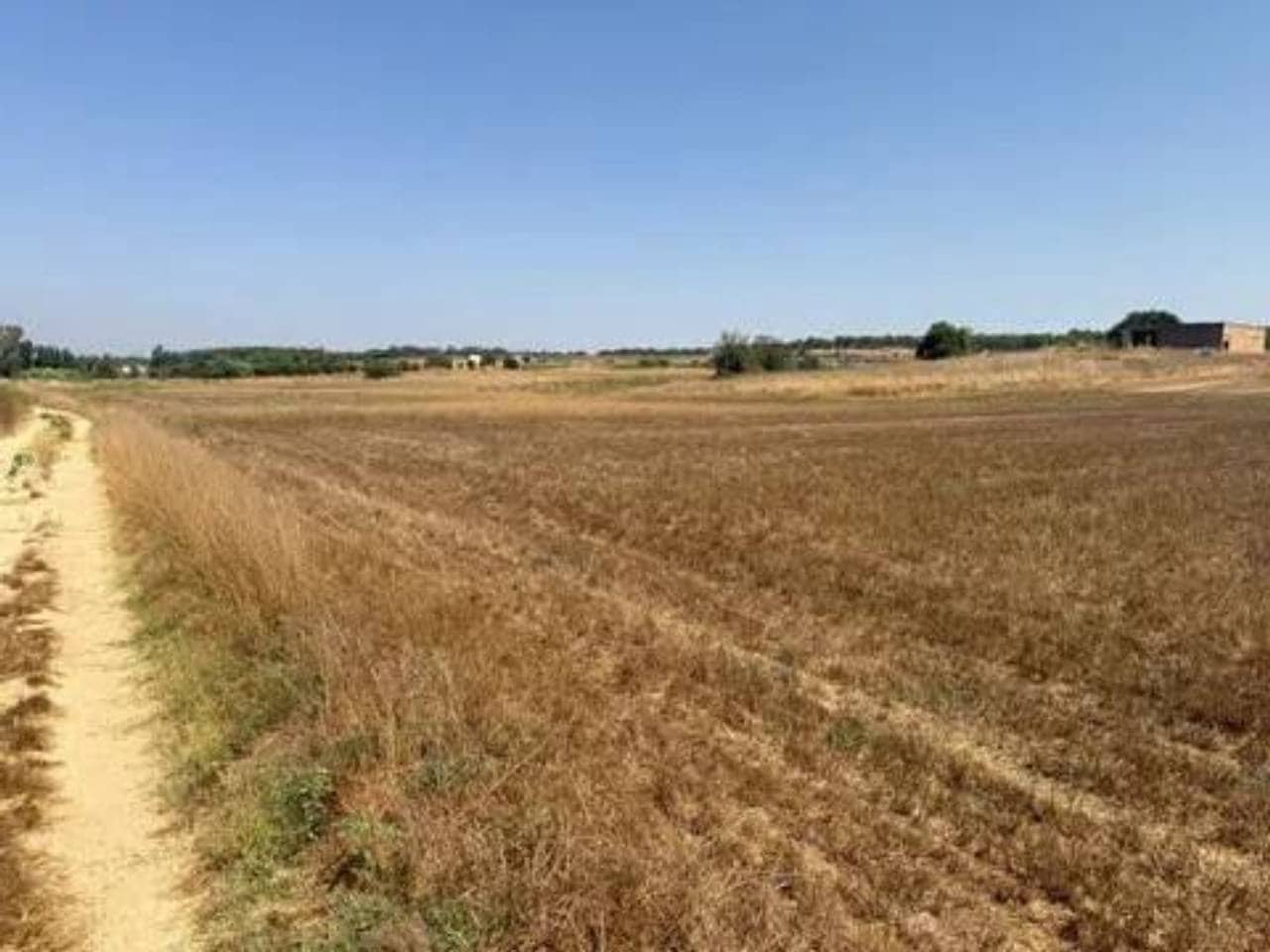 Undeveloped Land for sale in Rociana del Condado - € 35,000 (Ref: 9781233)