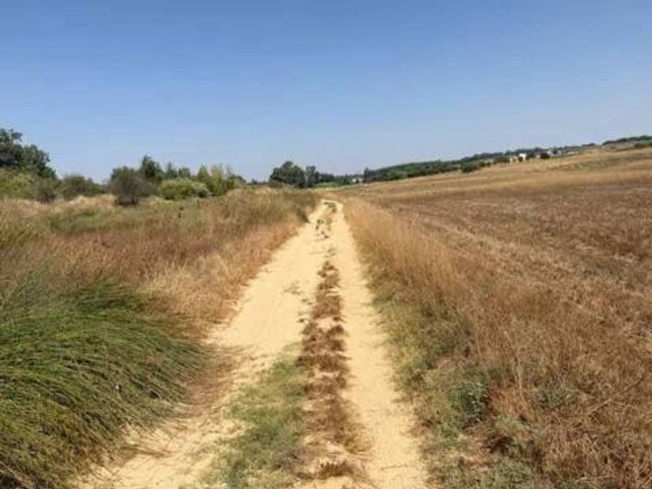 Undeveloped Land for sale in Rociana del Condado - € 35,000 (Ref: 9781233)