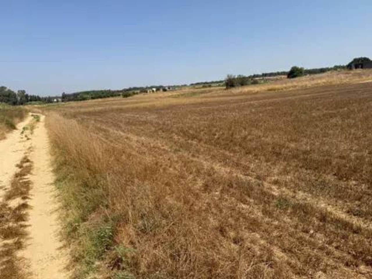 Undeveloped Land for sale in Rociana del Condado - € 35,000 (Ref: 9781233)