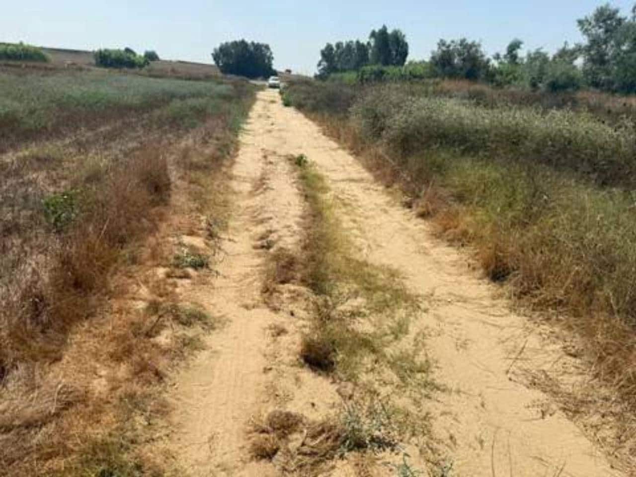 Undeveloped Land for sale in Rociana del Condado - € 35,000 (Ref: 9781233)