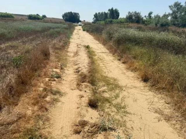 Terre non Aménagée à vendre à Rociana del Condado - 35 000 € (Ref: 9781233)