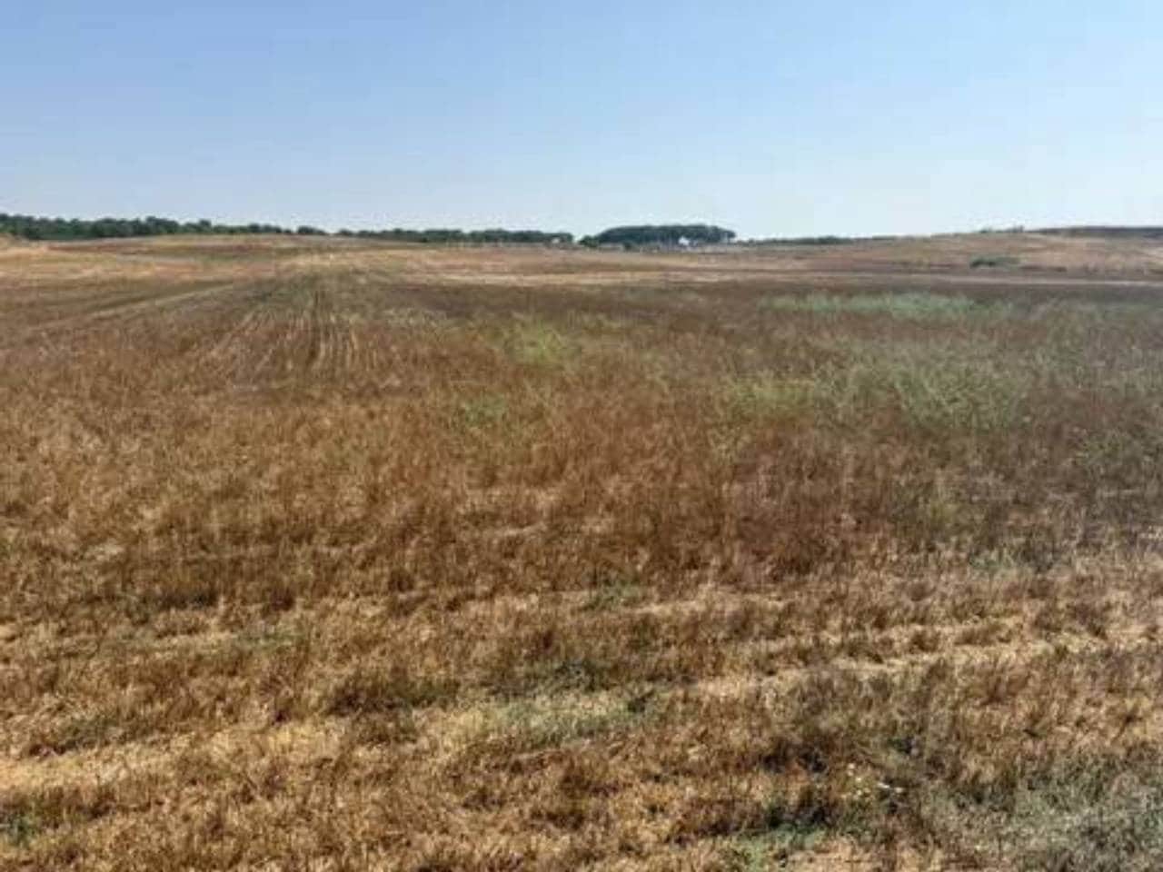 Undeveloped Land for sale in Rociana del Condado - € 35,000 (Ref: 9781233)