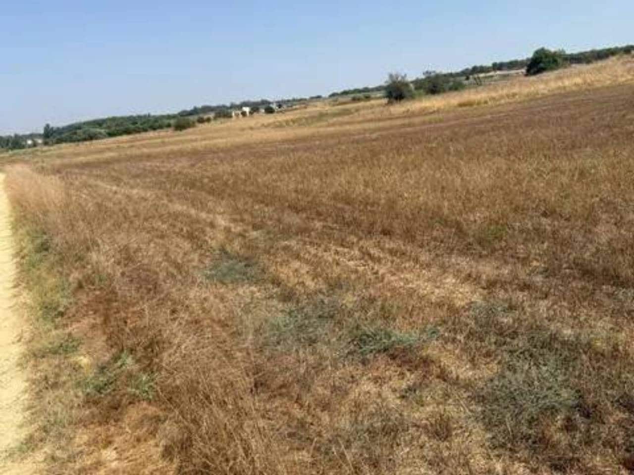 Undeveloped Land for sale in Rociana del Condado - € 35,000 (Ref: 9781233)