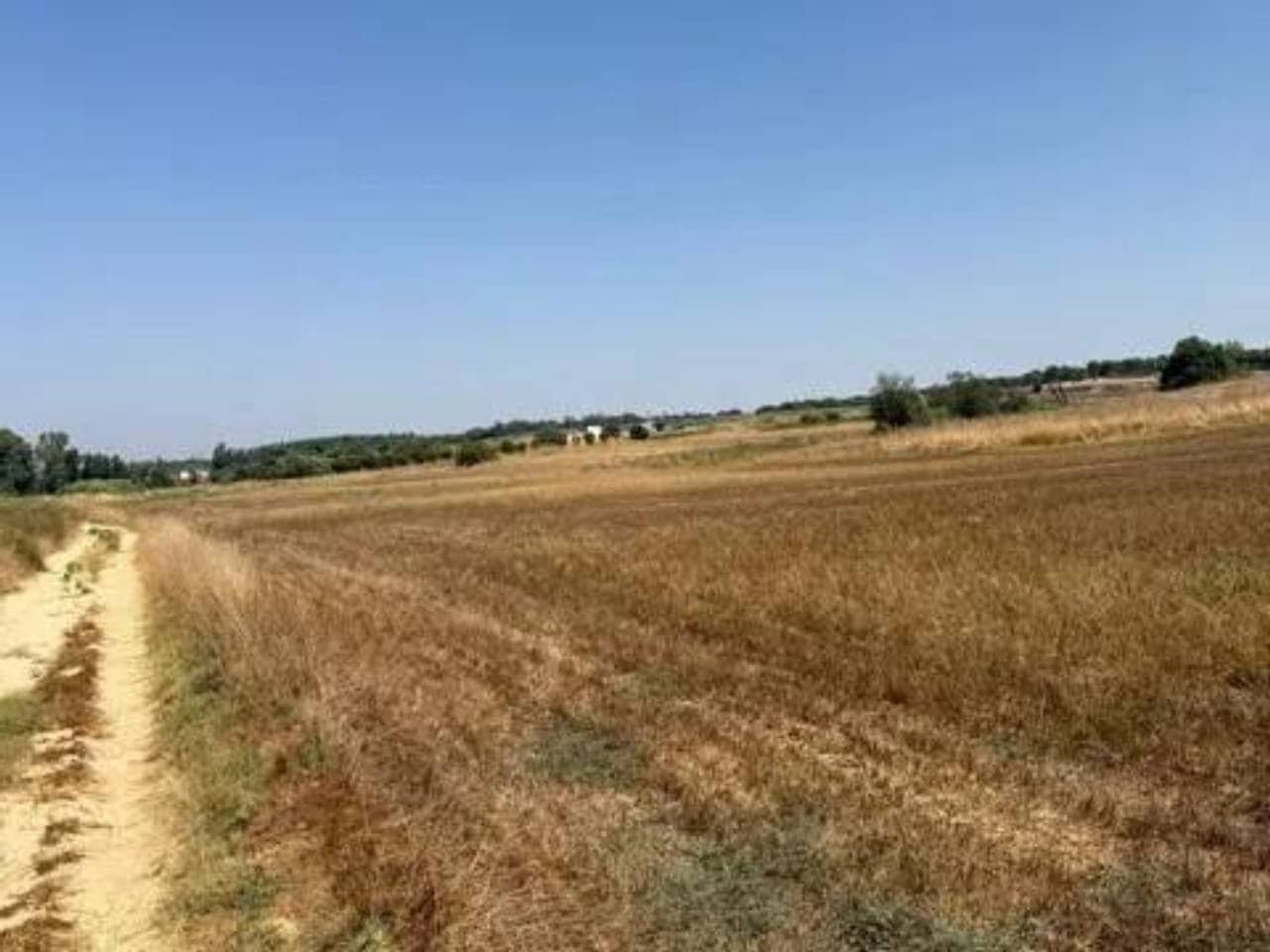 Undeveloped Land for sale in Rociana del Condado - € 35,000 (Ref: 9781233)