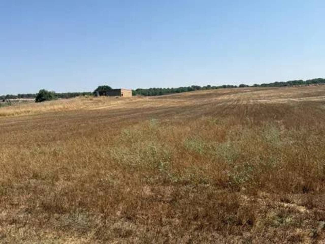 Undeveloped Land for sale in Rociana del Condado - € 35,000 (Ref: 9781233)