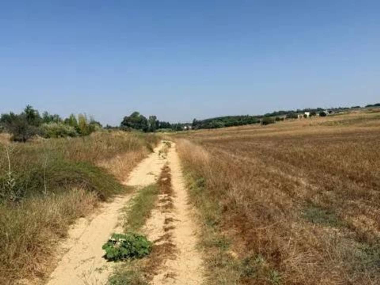 Undeveloped Land for sale in Rociana del Condado - € 35,000 (Ref: 9781233)