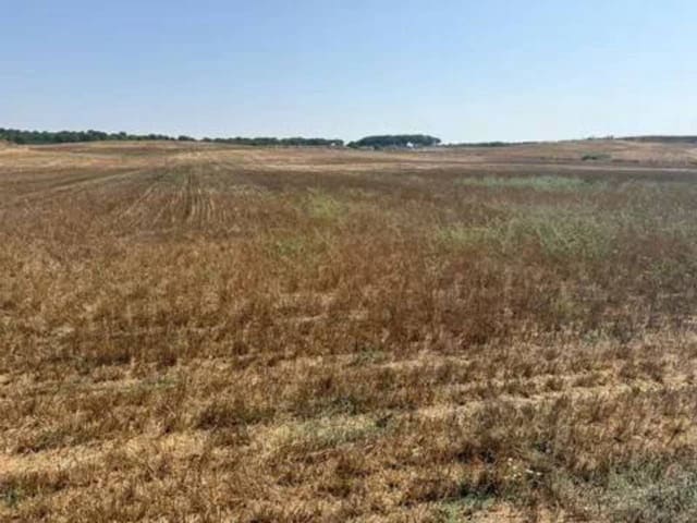 Terre non Aménagée à vendre à Rociana del Condado - 35 000 € (Ref: 9781233)